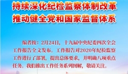 持续深化纪检监察体制改革 推动健全党和国家监督体系