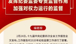 发挥纪委监委专责监督作用 加强对权力运行的监督