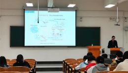 如何设计科研项目——临床医学院2019级医学影像学本科班开展班级导师人生指导课