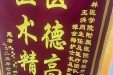 脊柱外科七月锦旗