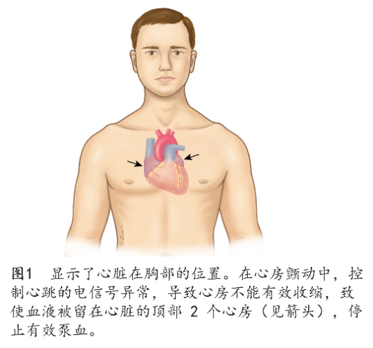 图片 5