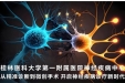桂林医科大学一附院神经疾病中心：从精准诊断到微创手术，开启神经疾病诊疗新时代